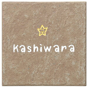 ySMILE\DzZ~bN^C\D AeBR SMA-1-509iێO^JMj