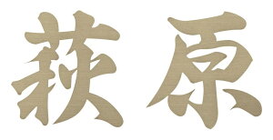 yؕ\Dz̃t[^Cv@XP-13iZNtgji\i1̋złj