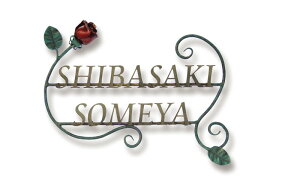 I[@NVJACAl[@񐢑їp@rIo@NL1-N18yz\D@Only One Club@[gACA