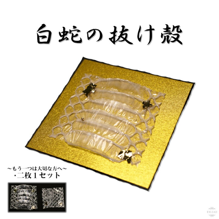 楽天市場】【岩國白蛇神社にて祈祷済み】 白蛇 二つ1セット 抜け殻 白 