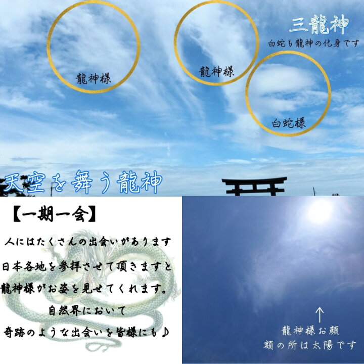 楽天市場】【岩國白蛇神社にて祈祷済み】 白蛇 腹部 抜け殻 白ヘビ 
