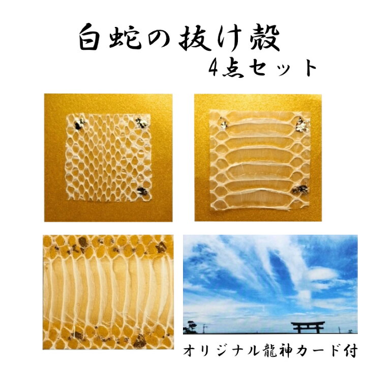 楽天市場】白蛇の抜け殻 お得4点セット お守り ハンドメイド品 超希少 