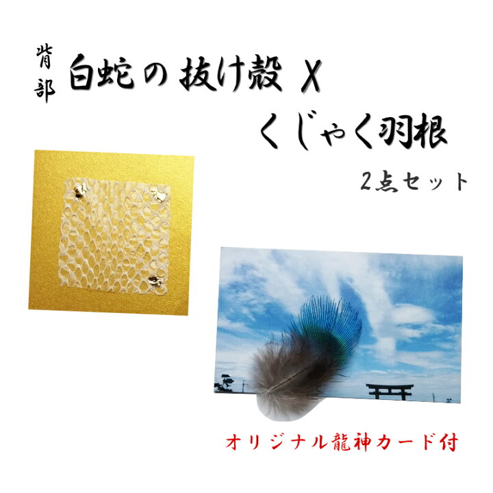 楽天市場】白蛇の抜け殻 × くじゃく羽根 2点セット 孔雀 はね 