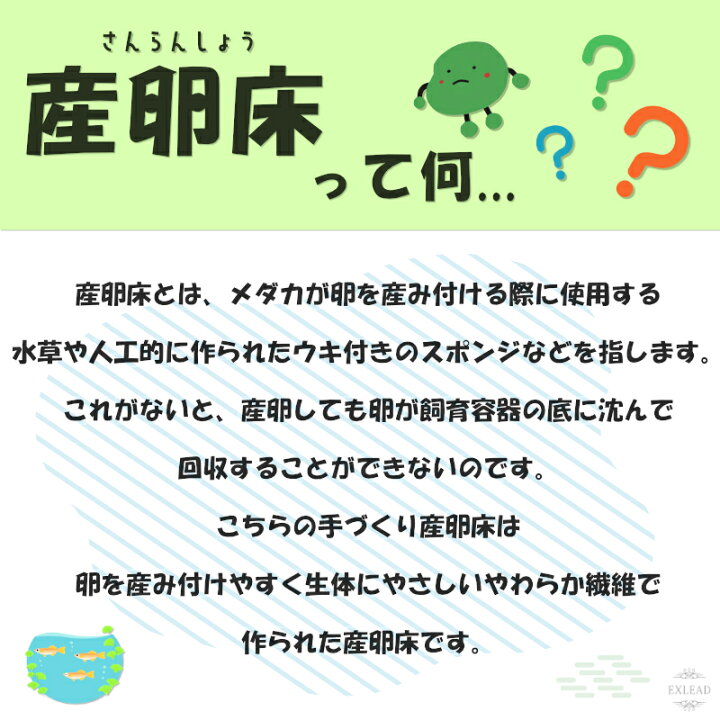 楽天市場 レビューで500円オフクーポン配布中 めだかの産卵床 完成品 4個セット 豆カフェめだか 激採れ カラーはランダム 人工水草 特殊繊維 卵 採取 保護 めだか メダカ 産卵 熱帯魚 淡水魚 水槽 ビオトープ 株式会社exlead Japan