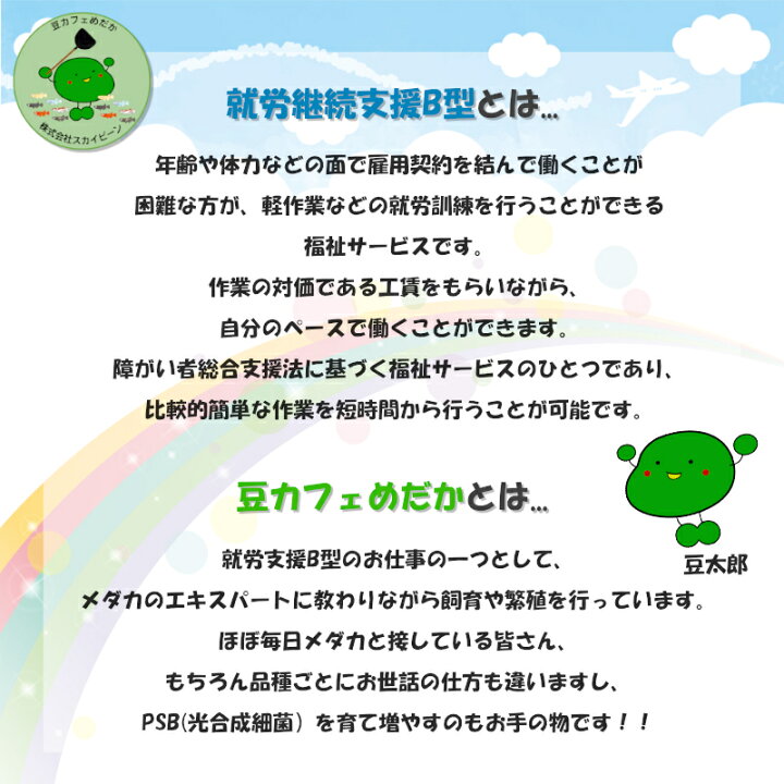 楽天市場 レビューで500円オフクーポン配布中 めだかの産卵床 完成品 4個セット 豆カフェめだか 激採れ カラーはランダム 人工水草 特殊繊維 卵 採取 保護 めだか メダカ 産卵 熱帯魚 淡水魚 水槽 ビオトープ 株式会社exlead Japan