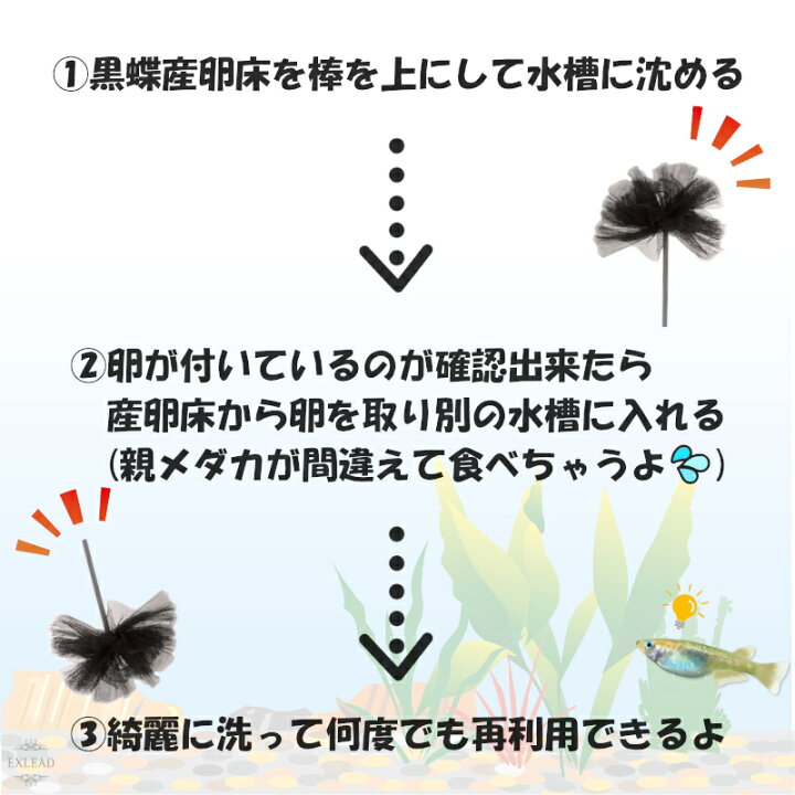 楽天市場 レビューで500円オフクーポン配布中 豆カフェめだか 黒蝶産卵床 激採れ めだかの産卵床 完成品 100個セット 人工水草 特殊繊維 卵 採取 めだか メダカ 産卵 淡水魚 水槽 ビオトープ メダカ産卵床 株式会社exlead Japan