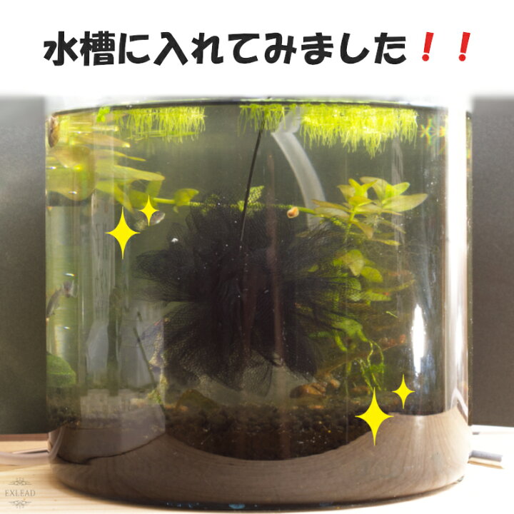 楽天市場 レビューで500円オフクーポン配布中 豆カフェめだか 黒蝶産卵床 激採れ めだかの産卵床 完成品 100個セット 人工水草 特殊繊維 卵 採取 めだか メダカ 産卵 淡水魚 水槽 ビオトープ メダカ産卵床 株式会社exlead Japan