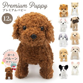 選べるバルーン ぬいぐるみ ｢プレミアムパピー｣ (電報なし)送料無料 犬 ペット わんちゃん 動物 かわいい お祝い ギフト プレゼント ラッピング対応 グッズ 結婚式 誕生日 クリスマス 2025 叙勲 褒章 受章祝い 子ども 孫 男の子 女の子 即日発送 翌日配達