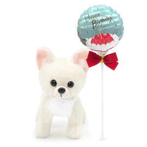 Iׂo[ ʂ v~Aps[ (dȂ)  ybg 񂿂  킢 j Mtg v[g bsOΉ ObY  a NX}X 2025 