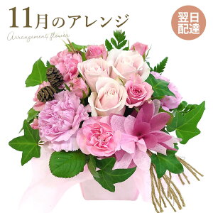 AWgt[ ̃AW (dȂ)  j  t[ Mtg v[g    ޏ  j a J JXj NX}X 2025 M ͏j