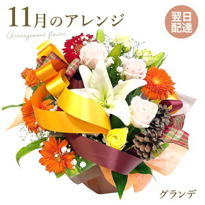 AWgt[ ̃AWEOf (dȂ)  j  G߂̂ t[ Mtg v[g    ޏ  j a LO J JXj