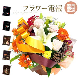 jd a AWgt[ ̃AWEOfƓdZbg  j  t[ Mtg d    bZ[W j v[g ̓ 20