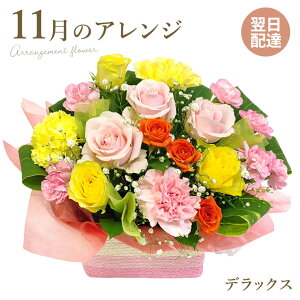 AWgt[ ̃AWEfbNX (dȂ)  j  G߂̂ t[ Mtg v[g    ޏ  j a J JXj N