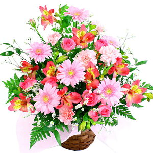 AWgt[ G߂̃AWEsNn (dȂ)  j  t[ Mtg v[g    c ޏ FB  j a J JXj v[