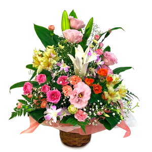 AWgt[ ؂₩ȃ̃AW (dȂ)  j  t[ Mtg v[g    c ޏ FB  j a J JXj v[