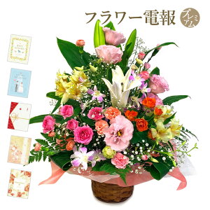 ユリ 誕生日の人気商品 通販 価格比較 価格 Com
