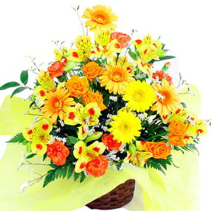 AWgt[ G߂̃AWEgFn (dȂ)  j  t[ Mtg v[g    c ޏ FB  j a J JXj v[