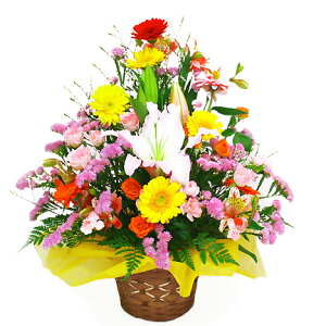 AWgt[ CAWgEHearty (dȂ)  j  t[ Mtg v[g    ޏ   a J JXj v[g NX