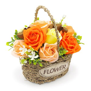 tOX\[vt[u~jK[foXPbg (IW/X[L[sN)  (dȂ)  j  Mtg v[g V{t[   j a v