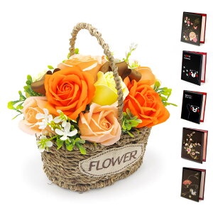 jd a tOX\[vt[ ~jK[foXPbg (IW/X[L[sN) ƓdZbg  V{t[   d   bZ[W 