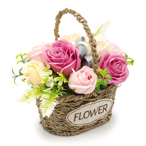 tOX\[vt[u~jK[foXPbg (IW/X[L[sN)  (dȂ)  j  Mtg v[g V{t[   j a v