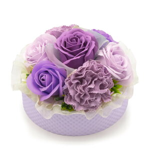 tOX\[vt[u tisN^p[v)  (dȂ)  j  Mtg v[g V{t[  킢  F  a v[g