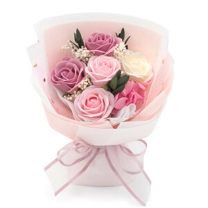 tOX\[vt[uTNXEt[  (dȂ)  j  Mtg v[g ԑ u[P V{t[ sN  F  킢   a