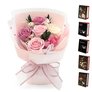 jd a tOX\[vt[ TNXEt[ ƓdZbg  ԑ u[P V{t[ sN   킢 d   bZ[W 