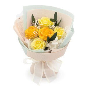 tOX\[vt[uTNXEt[  (dȂ)  j  Mtg v[g ԑ u[P V{t[ sN  F  킢   a