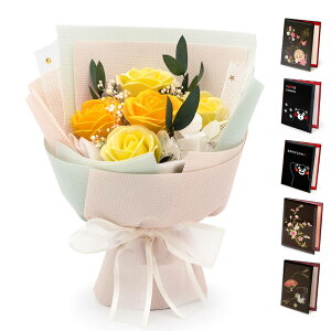 jd a tOX\[vt[ TNXEt[ ƓdZbg  ԑ u[P V{t[ sN   킢 d   bZ[W 