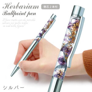 un[oEAW {[y  (dȂ)  j Mtg v[g t[ Iׂ6F i  [ Xe[Vi[ j a NX}X 2025 ͏j