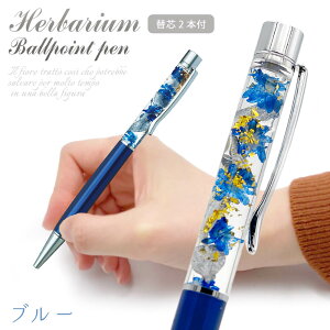 un[oEAW {[y  (dȂ)  j Mtg v[g t[ Iׂ6F i  [ Xe[Vi[ j a NX}X 2025 ͏j