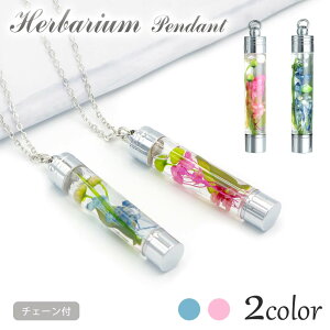 un[oEAW y_g AX (dȂ)  j i  t[ ANZT[ lbNX L[z_[   j  LO a v[