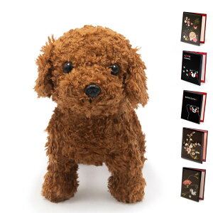 jd  ʂݓd v~Aps[  dZbg  j Mtg d   bZ[W j a oYj NX}X v[g 2025 ͏j 