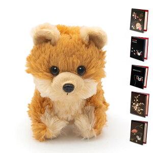 jd  ʂݓd v~Aps[  dZbg  j Mtg d   bZ[W j a oYj NX}X v[g 2025 ͏j 