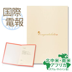 国際電報 祝電 お祝い 紙素材カード 「スノーブライト」 【海外 北中米・南米・アフリカあて専用】 送料無料 海外電報 祝電 海外挙式 海外ウェディング ハワイ アメリカ 電報 結婚式 誕生日