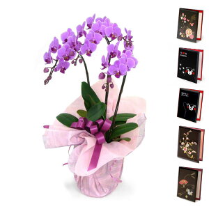 ~fBӒ 3{ƓdZbg  Iׂ2F  sN 21ֈȏ j   t[ Mtg jd  bZ[W  j a ̓ 2025 ͏j j J