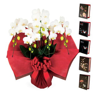 ~fBӒ 5{  dZbg  35ֈȏ j   t[ Mtg jd  bZ[W  j a v[g ̓ 2025 ͏j j JXj