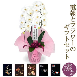 ֌Ӓ 2{ nCO[h dZbg  Iׂ2F  sN 24ֈȏ j  Mtg jd  bZ[W  j a v[g NX}X 2025 