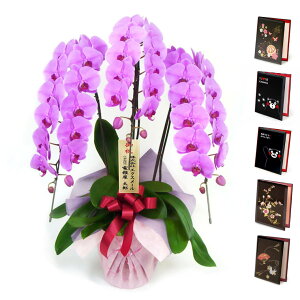 ֌Ӓ 3{ nCO[hƓdZbg    sN 36ֈȏ j   t[ Mtg oeB jd  bZ[W j a v[g ̓ 2025 