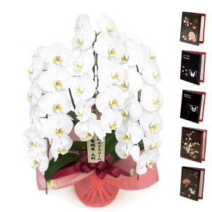 ֌Ӓ 3{ nCO[hƓdZbg    sN 36ֈȏ j   t[ Mtg oeB jd  bZ[W j a v[g ̓ 2025 