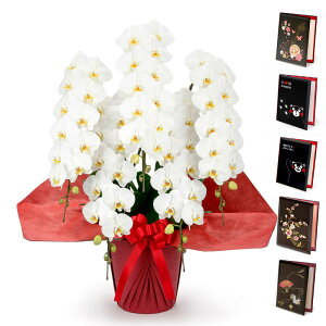 ֌Ӓ 5{ nCO[h ƓdZbg  60ֈȏ m  j   t[ Mtg d  jd a  bZ[W j v[g ̓ 202