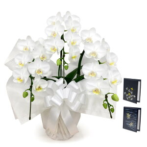 p ~fBӒ 3{  dZbg  21ֈȏ   t[    oeBvg d d  V ʖ ʎ @v ꒼  