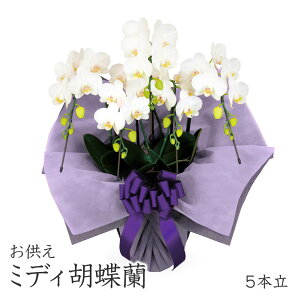 p ~fBӒ 5{  (dȂ)  35ֈȏ   t[    V  ʖ ʎ @v Ƒ ꒼   ފ ފ݋{ ~ 