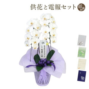 一周忌 胡蝶蘭の人気商品 通販 価格比較 価格 Com 一周忌 胡蝶蘭の人気商品 通販 価格比較 価格 Com