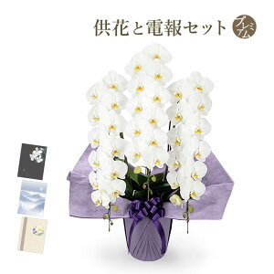 生花 弔電の人気商品 通販 価格比較 価格 Com 生花 弔電の人気商品 通販 価格比較 価格 Com