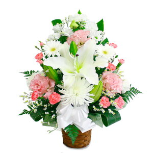  AWXyNg (dȂ)    AWg t[     V  ʖ ʎ @ @v Ƒ  ꒼  