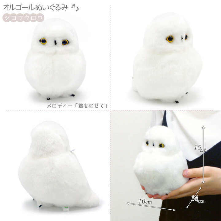 楽天市場】祝電 誕生日 ぬいぐるみ電報 ｢オルゴールぬいぐるみ｣と｢布 
