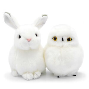 ʂ IS[ʂݣ (dȂ)  Ⴄ VtNE IS[ k̍ N̂ Wu V̏郉s^ j Mtg v[g  j 