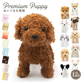 祝電 結婚式 ぬいぐるみ電報 ｢プレミアムパピー｣ と 電報セット 送料無料 お祝い ギフト 電報 結婚式 文例 メッセージ 結婚祝い 誕生日 出産祝い クリスマス プレゼント 2025 受章祝い かわいい 犬 ペット 即日発送 翌日配達